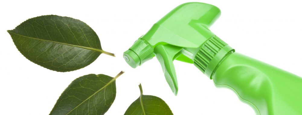 Green Cleaning Solutions