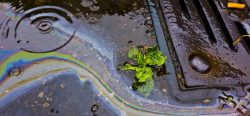 Petrol Oil In Water Running Down the Drain